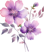 purple flowers16